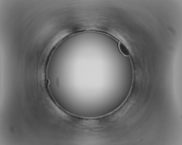 X0000113911285200910081842