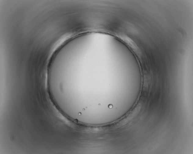 X0000113911286200910081842