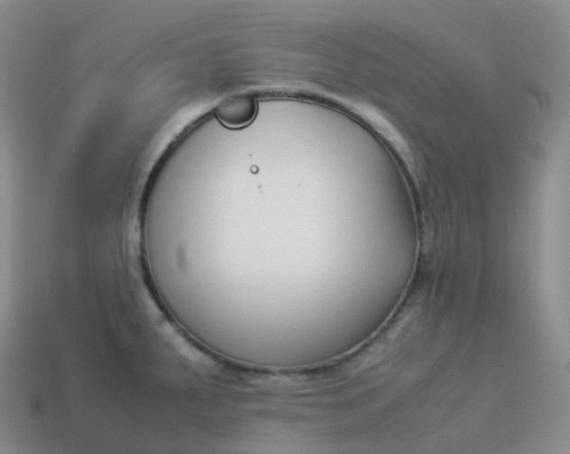 X0000113911287200910081842