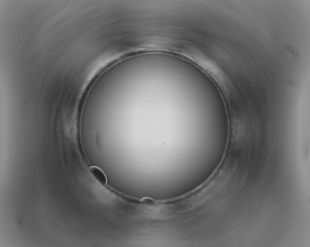 X0000113911288200910081842