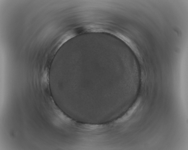 X0000113911289200910081842