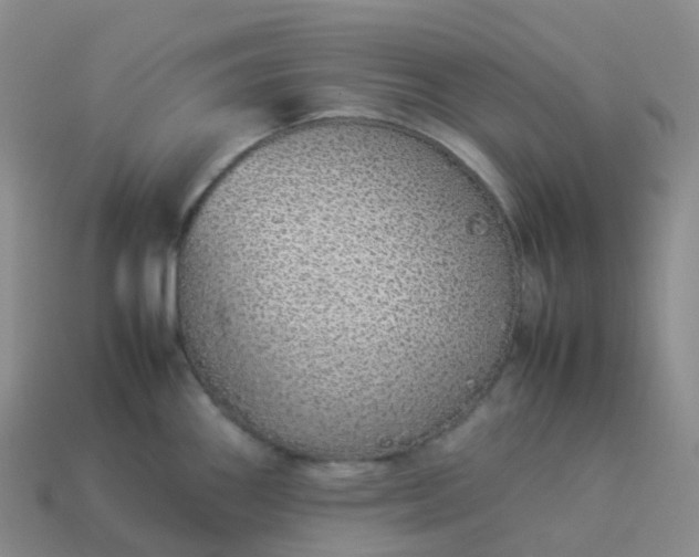 X0000113911290200910081842