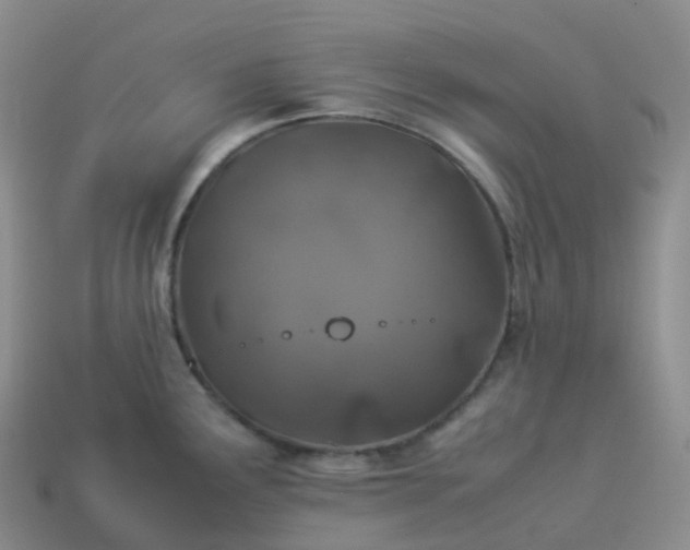 X0000113911291200910081842