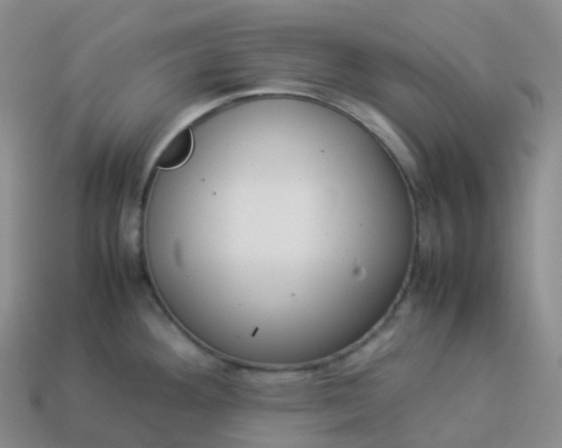 X0000113911292200910081842