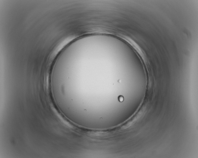 X0000113911293200910081842