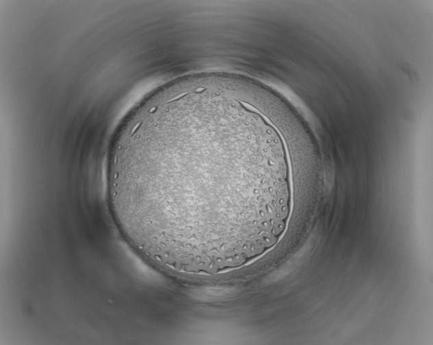 X0000113911294200910081842