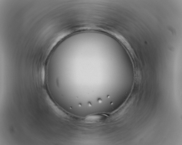 X0000113911295200910081842