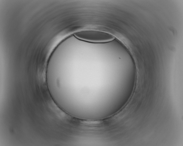 X0000113911296200910081842