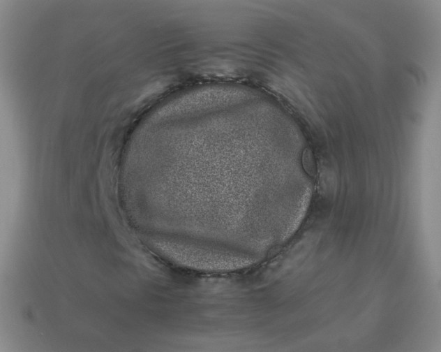 X0000113911297200910081841