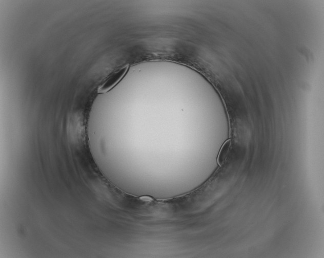 X0000113911298200910081841