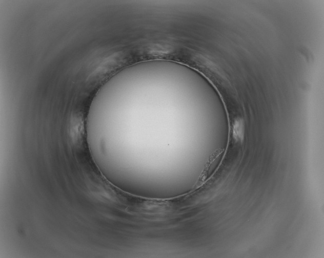 X0000113911299200910081841