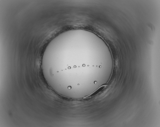 X0000113911300200910081841