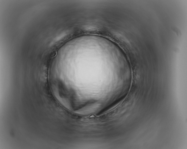 X0000113911301200910081841