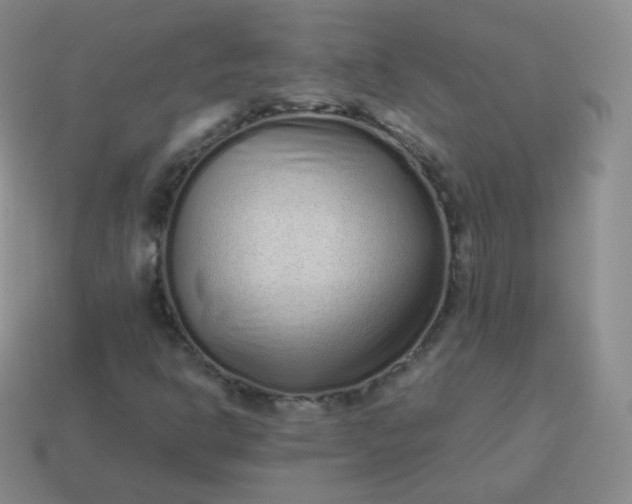 X0000113911302200910081841