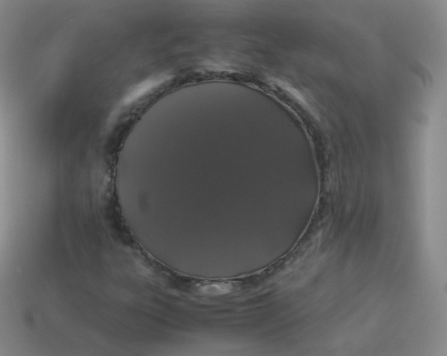 X0000113911303200910081841