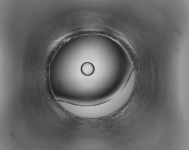 X0000113911304200910081841