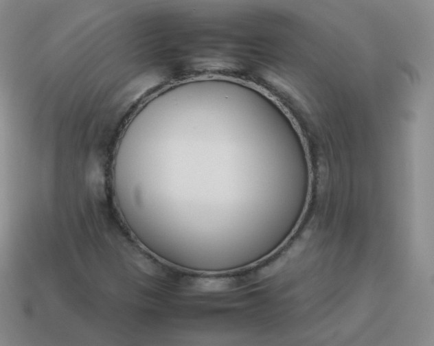 X0000113911305200910081841