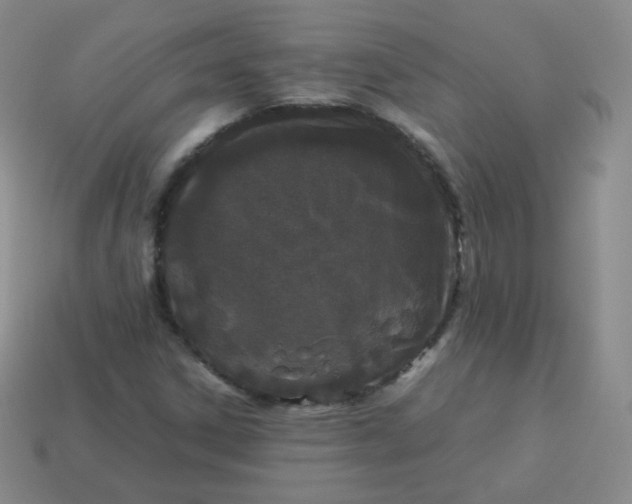 X0000113911306200910081841