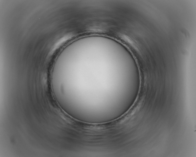 X0000113911307200910081841