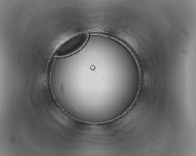 X0000113911308200910081841