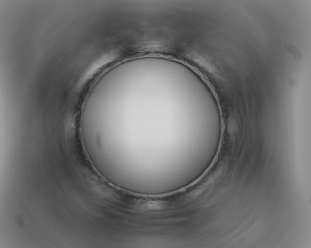 X0000113911309200910081841