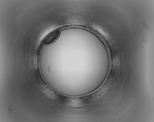 X0000113911310200910081841