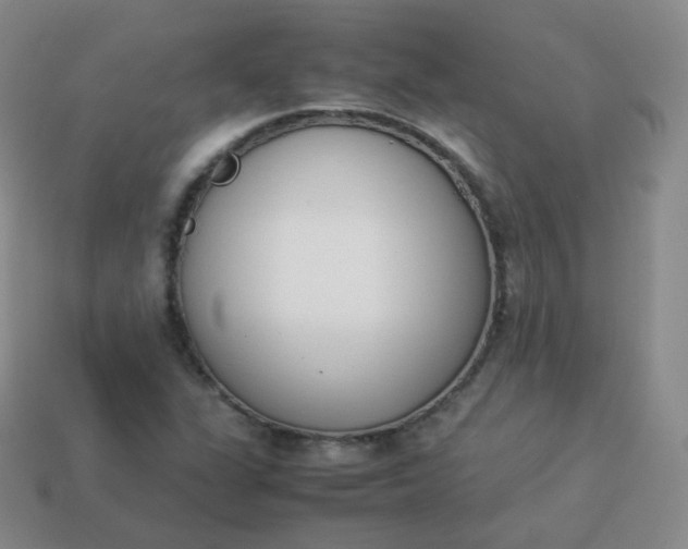 X0000113911311200910081841