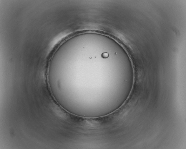 X0000113911312200910081841