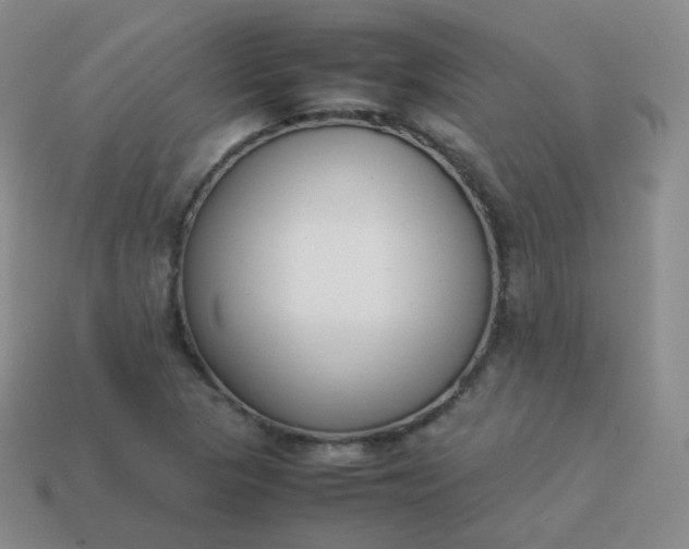 X0000113911313200910081841