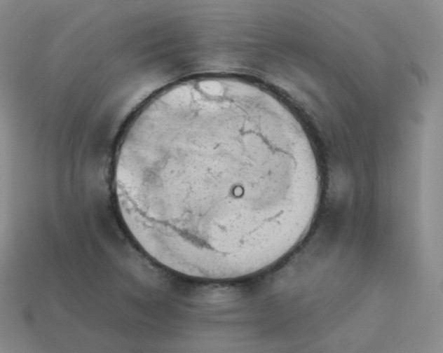 X0000113911314200910081841