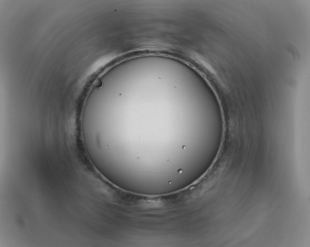 X0000113911315200910081841