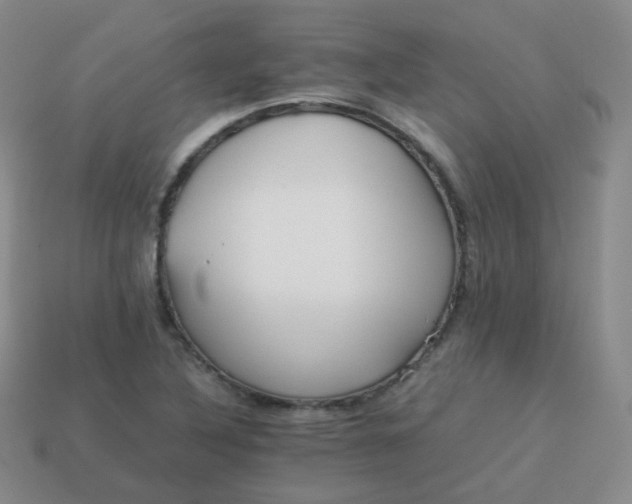 X0000113911316200910081841