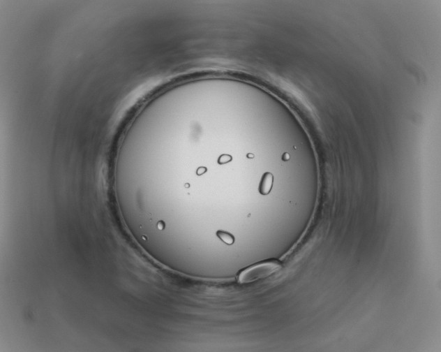 X0000113911318200910081841