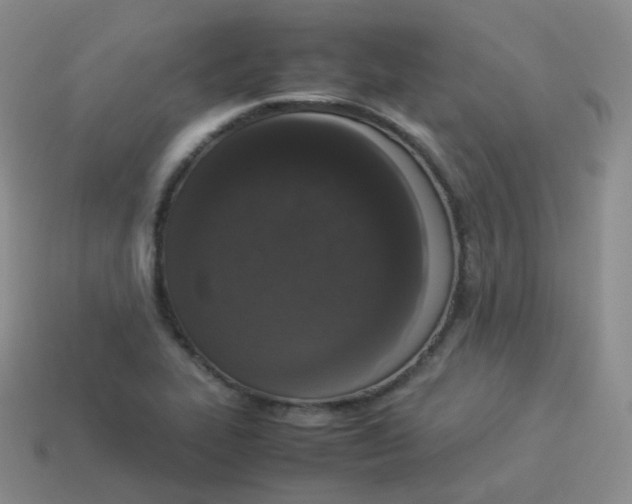 X0000113911319200910081841