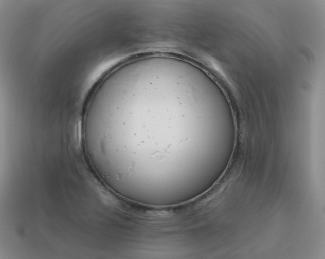 X0000113911320200910081841