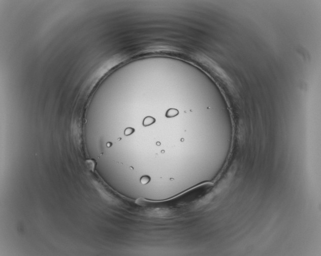 X0000113911321200910081841