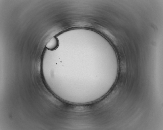 X0000113911322200910081841