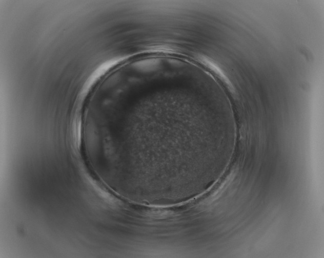 X0000113911323200910081841