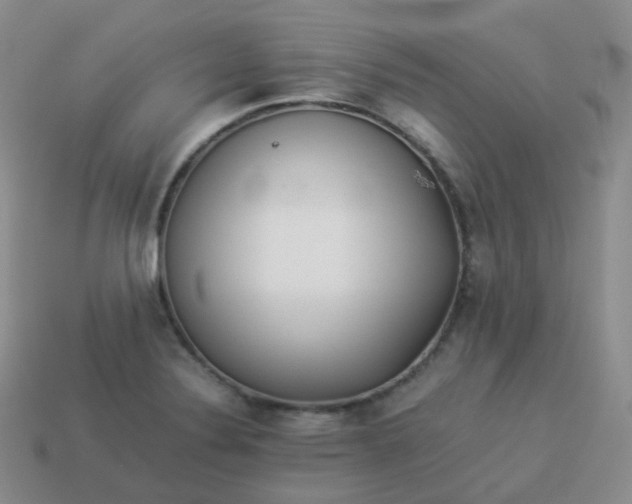 X0000113911324200910081841