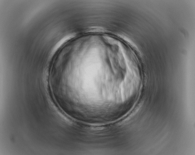 X0000113911325200910081841