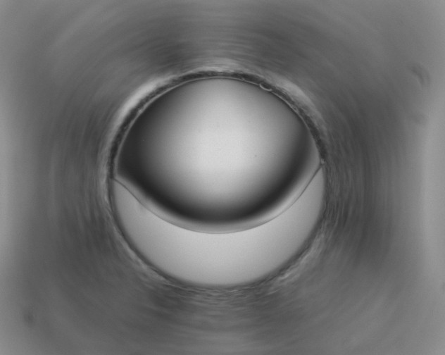 X0000113911326200910081842