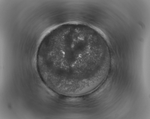 X0000113911327200910081842