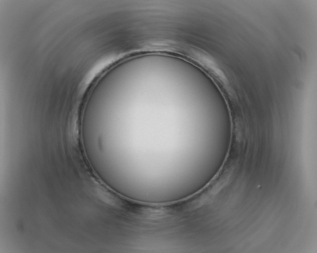 X0000113911328200910081842