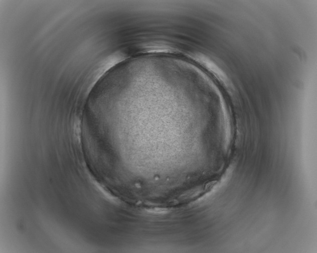 X0000113911329200910081842