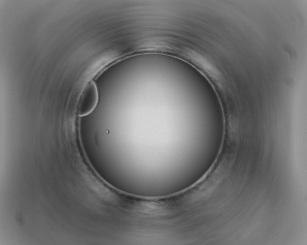 X0000113911330200910081842