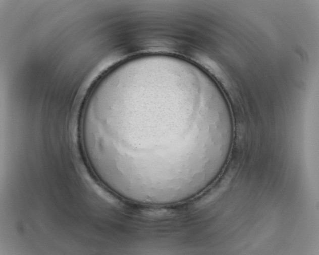 X0000113911331200910081842