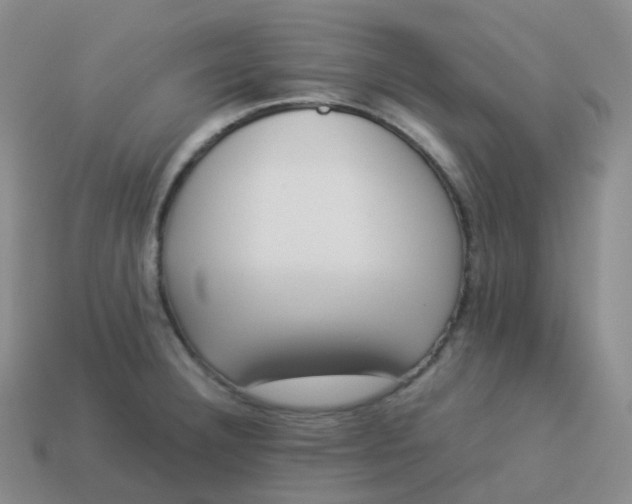 X0000113911332200910081842