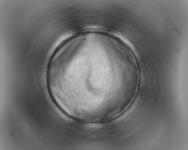 X0000113911333200910081842