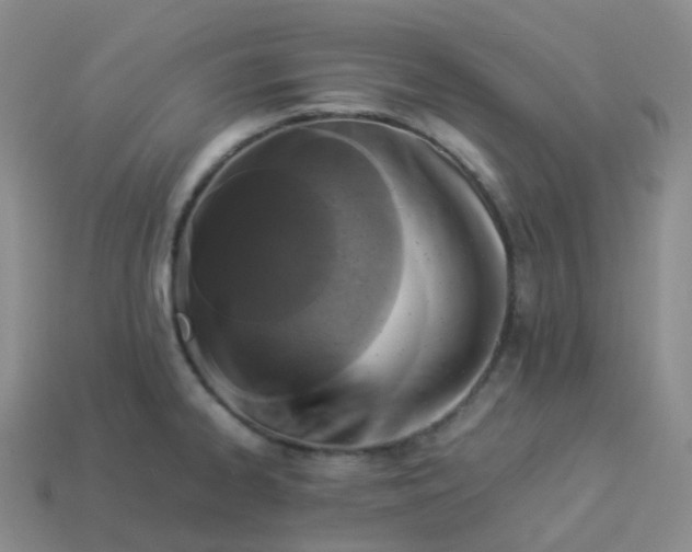 X0000113911334200910081842