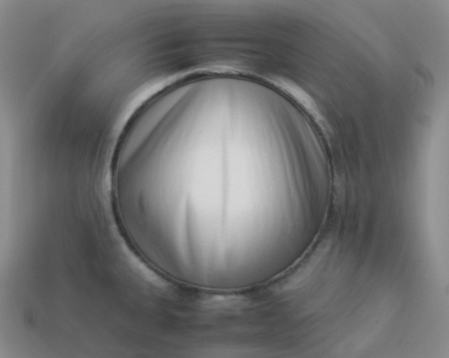 X0000113911335200910081842